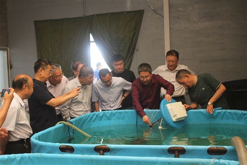 智能化养殖装备与智慧管理平台开发成果通过验收，助推海水养殖技术研发升级