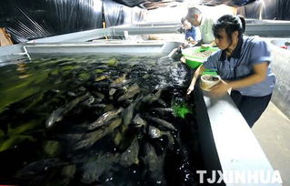 科技创新驱动海洋经济 滨海新区建成超大型工厂化内循环海水养殖基地