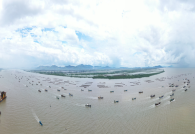 向海而兴 大湾区以科技创新擦亮海水养殖“蓝色名片”