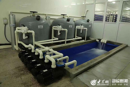 让大闸蟹住进“公寓”里，东营小伙打造海水养殖新品牌