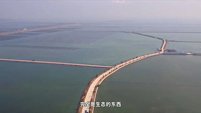 刺参工业化养殖技术研发 突破种业‘卡脖子’难题，推动海水养殖创新发展