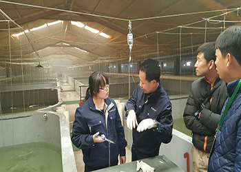 我国海水养殖技术新突破 告别'嗑药'鱼，首个海水鱼活疫苗投产应用